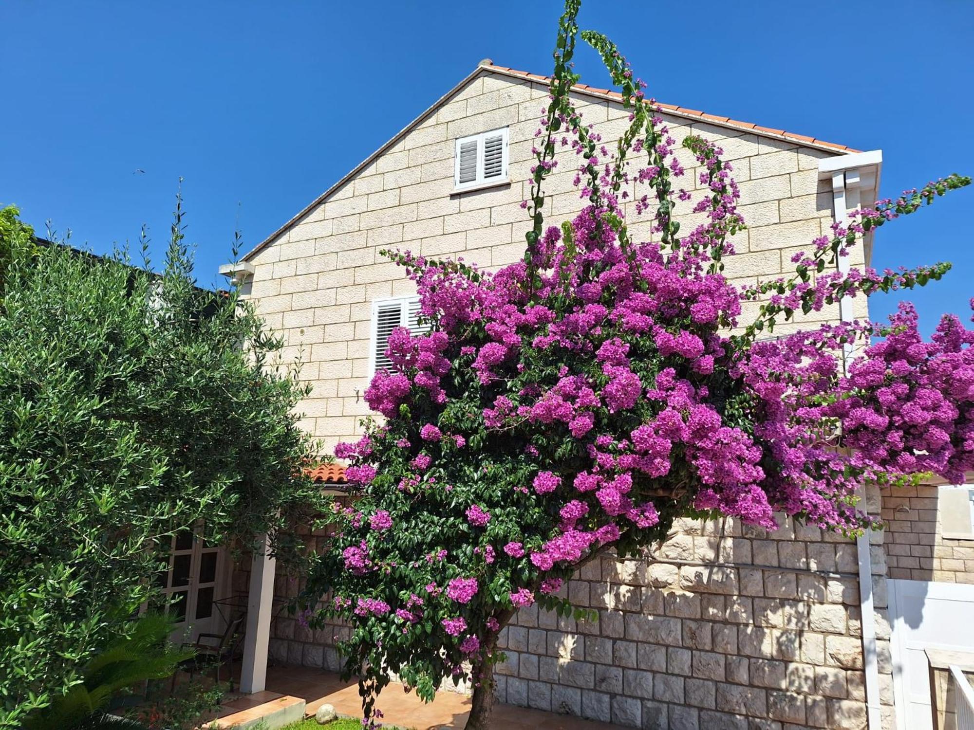 Blue Promenade Apartments دوبروفينك المظهر الخارجي الصورة
