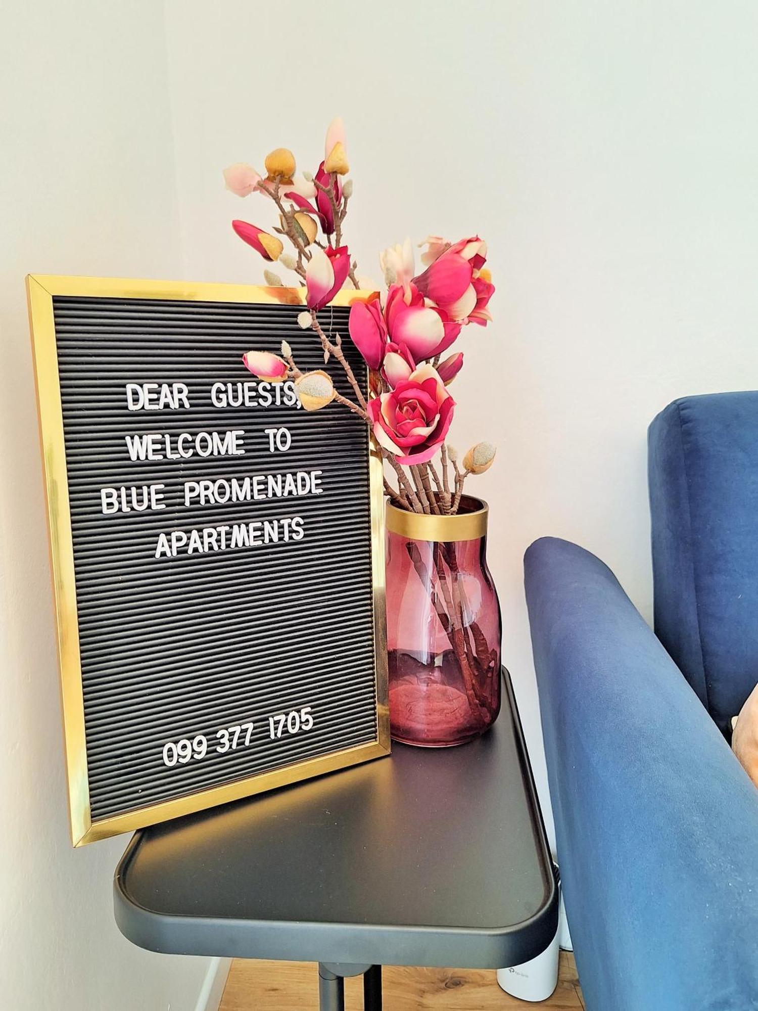 Blue Promenade Apartments دوبروفينك المظهر الخارجي الصورة